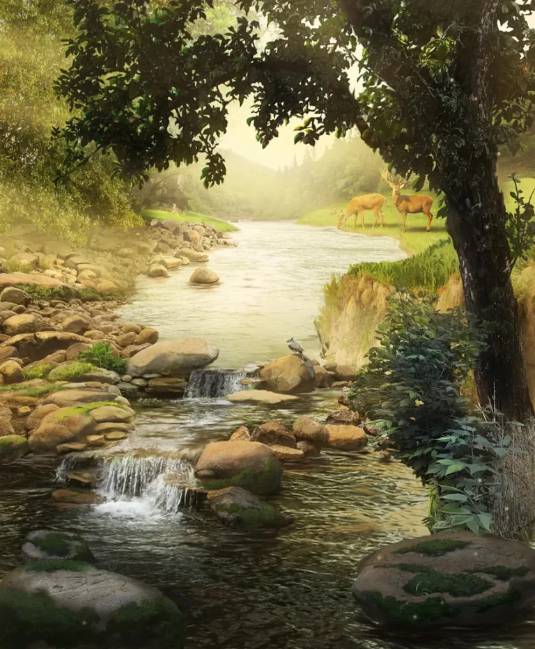 1 сезон 1 серия - Лесная река