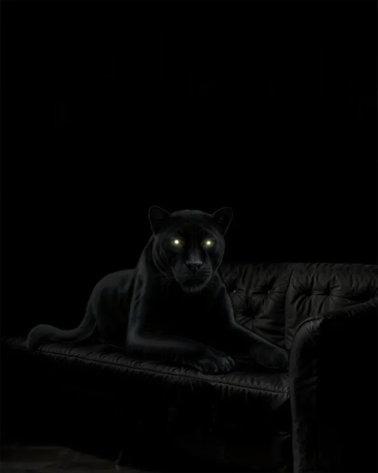 1 сезон 2 серия - Кат-сцена с пантерой