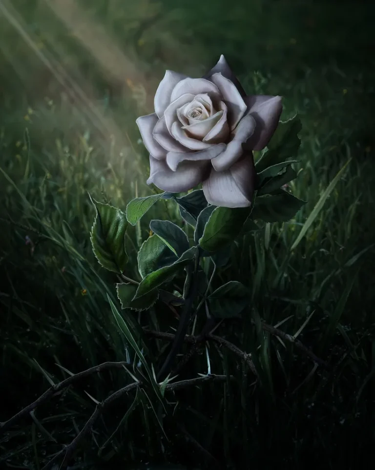 1 сезон 10 серия - Кат-сцена с Розой